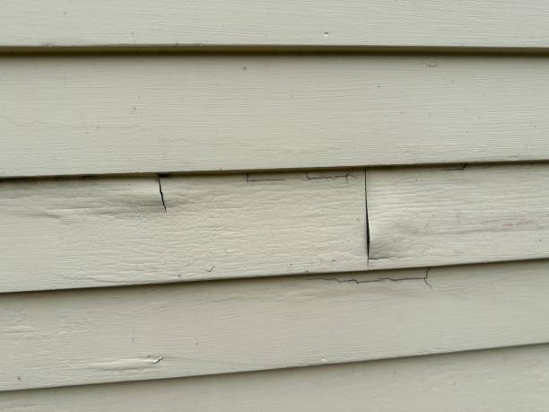 How To Choose The Right Materials for Your Siding Installation in 'Kingsville, TX